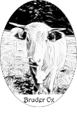 Bruder Ox